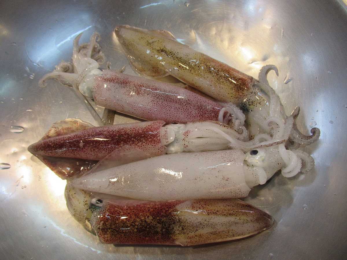 Grilled seafood in the Philippines
